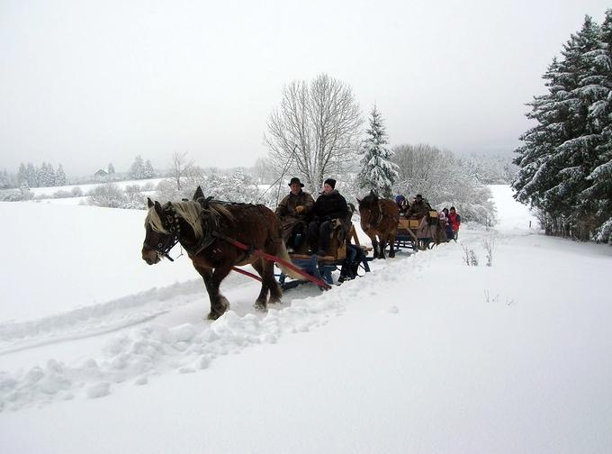 ferme de la tanne