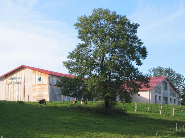 fruitiere de vernierfontaine