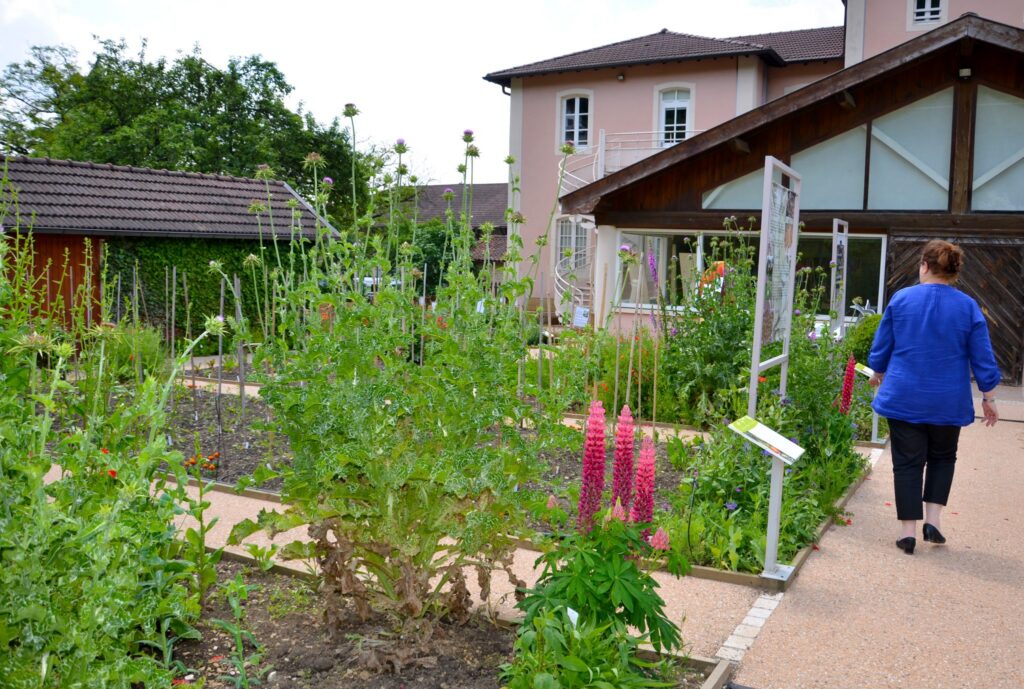 museerevermont 2016 jardin 20 agaubert